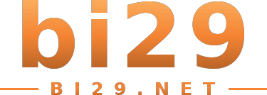 bi29 logo